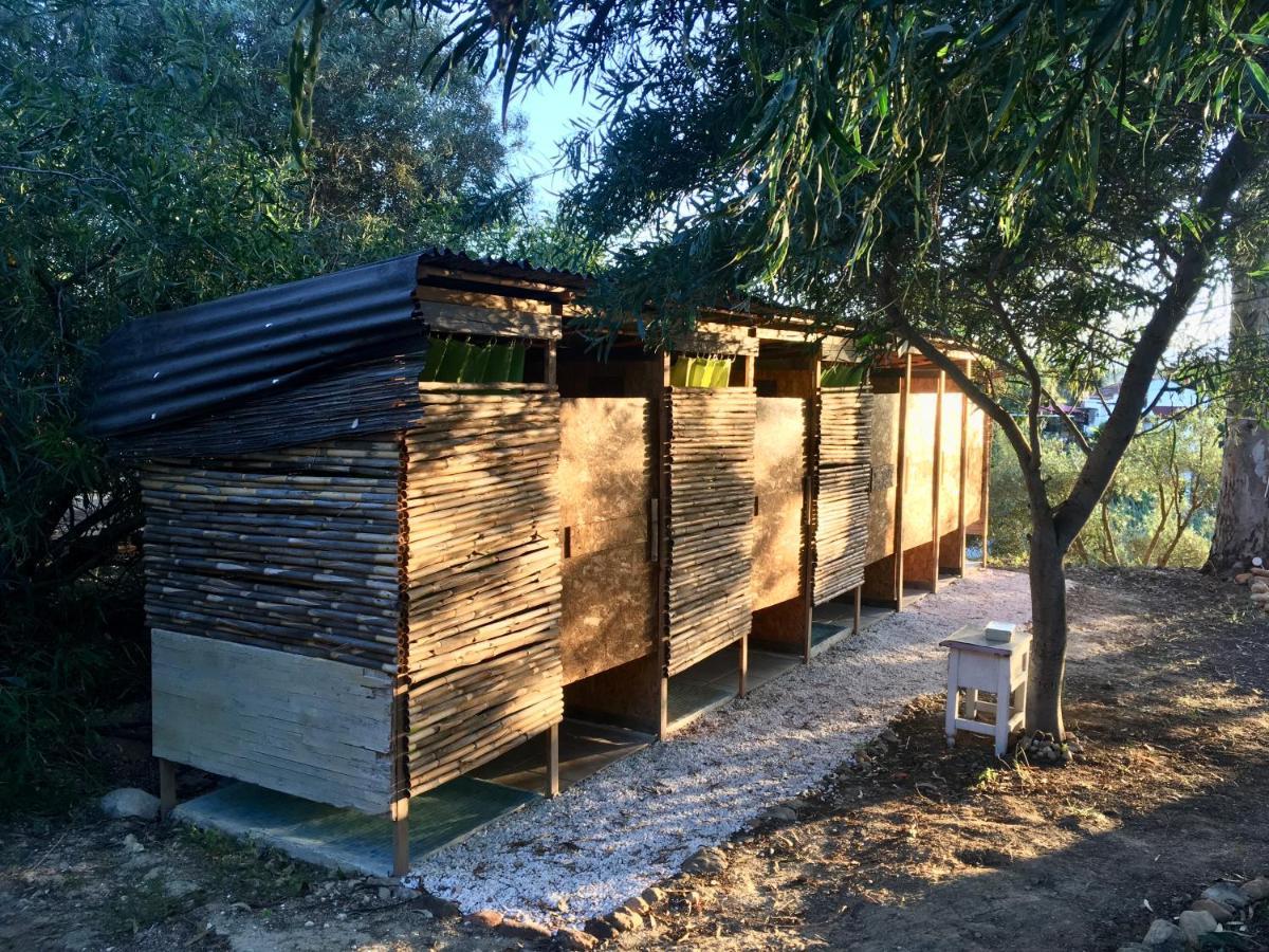 Finca Fahala Cartama Ngoại thất bức ảnh
