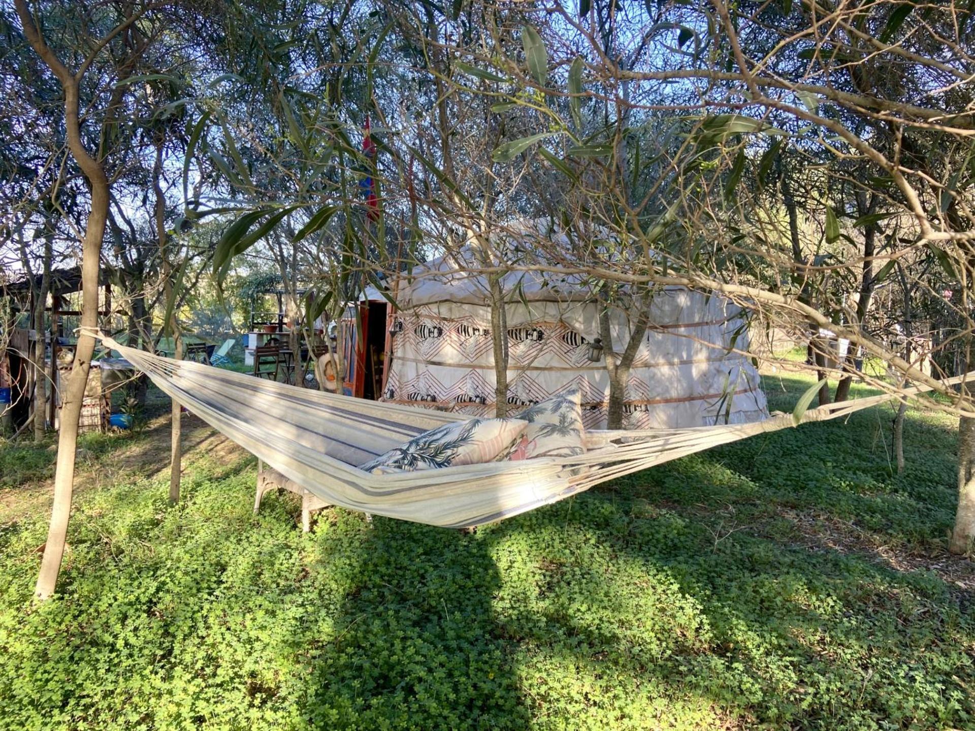 Finca Fahala Cartama Ngoại thất bức ảnh